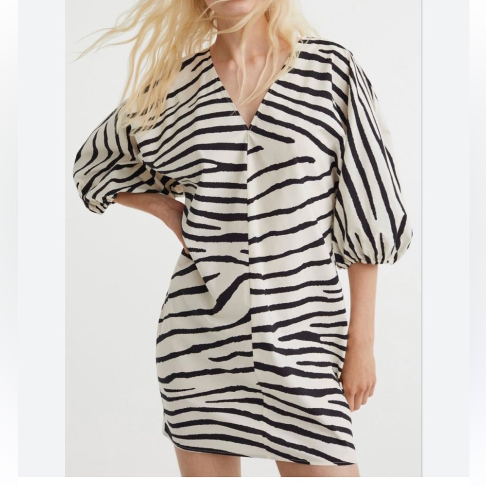 H&M MINI Zebra Print V-Neck Dress
